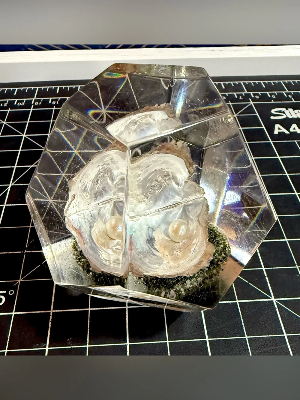 Vintage Lucite Paperweight With Pearl in Oyster Shell
